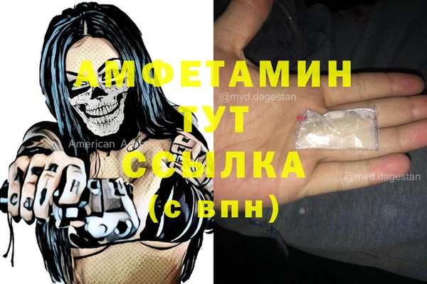 ECSTASY Богданович